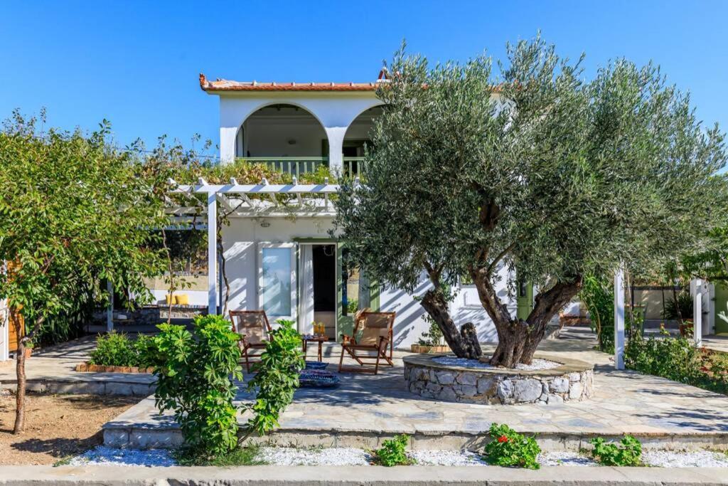 Nina-Myrtia Countryside House Skopelos Ditropo Екстер'єр фото